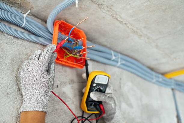Best Affordable Electrician  in Nisswa, MN